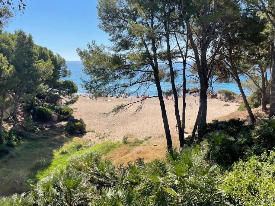 Precioso Apto Miami Primera Linia Playa Cala De Las Sirenas, Con Wifi Y Netflix, Adecuado Para Teletrabajar Miami Playa Exteriör bild